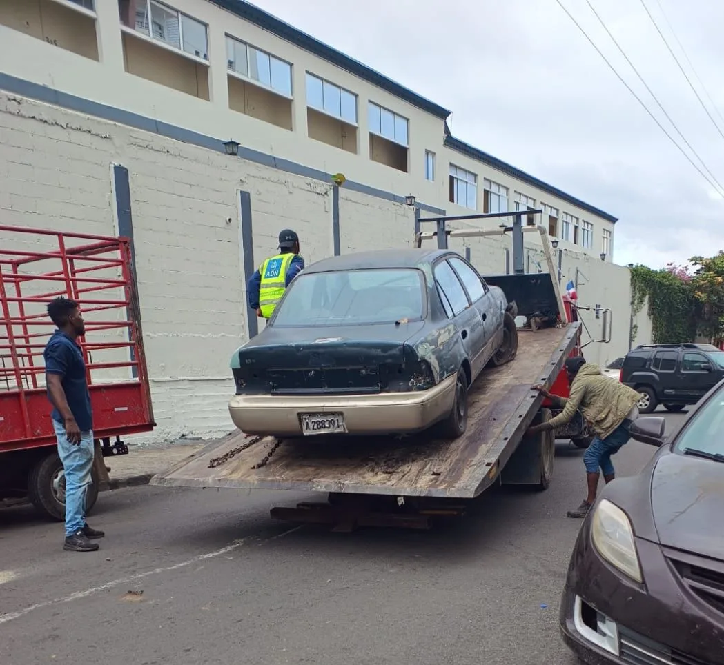 WhatsApp Image 2025 02 07 at 9.56.12 AM