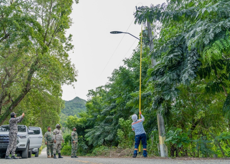 WhatsApp Image 2025 02 17 at 3.35.15 PM