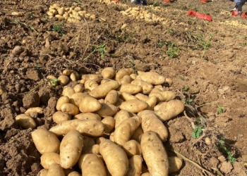 WhatsApp Image 2025 02 17 at 5.40.40 PM