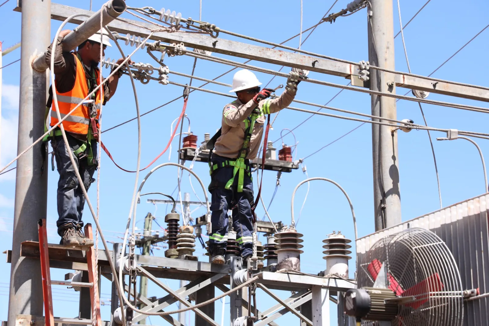 WhatsApp Image 2025 02 22 at 8.03.53 PM