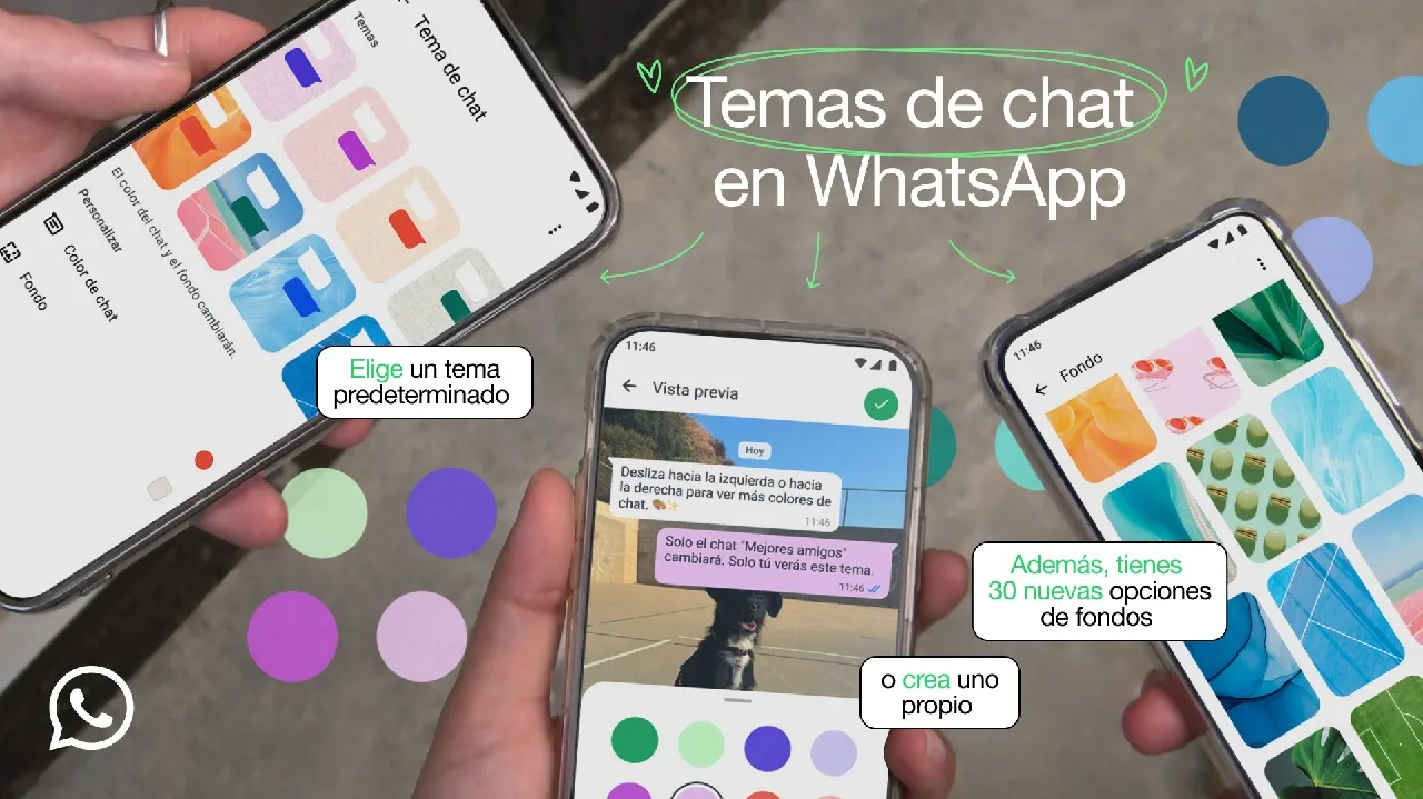 Whatsapp nuevos temas colores