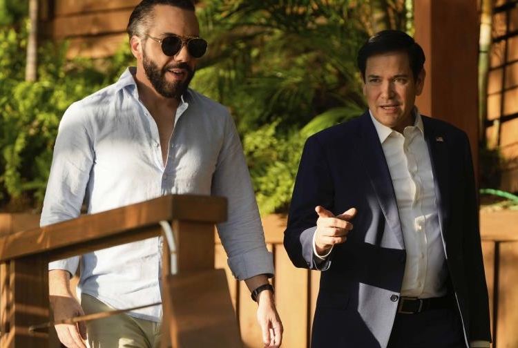 ap25035087755578 focus 0 0 896 504