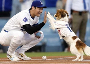 mientras shohei ohtani respire que nadie aspire al premio mvp focus 0 0 896 504