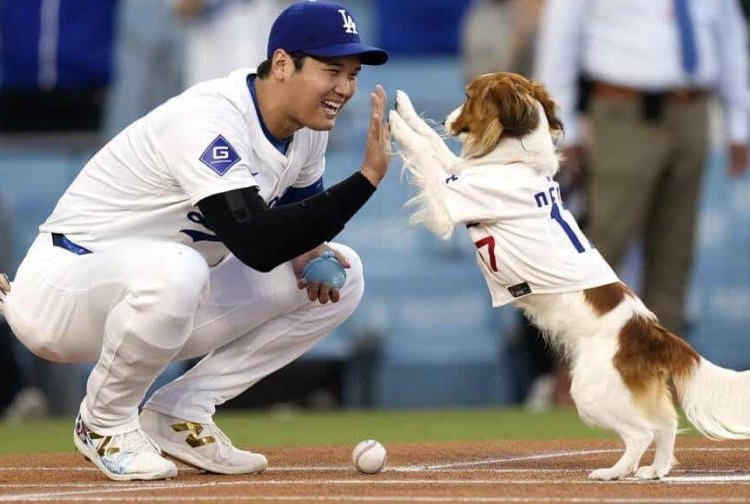 mientras shohei ohtani respire que nadie aspire al premio mvp focus 0 0 896 504