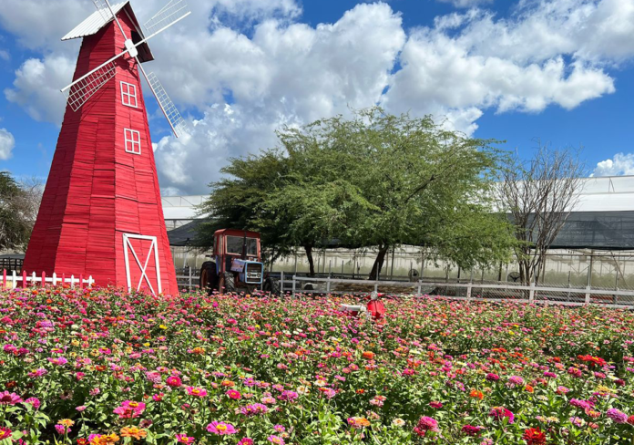 Tierra Tropical: aventura y naturaleza en el corazón de Baní