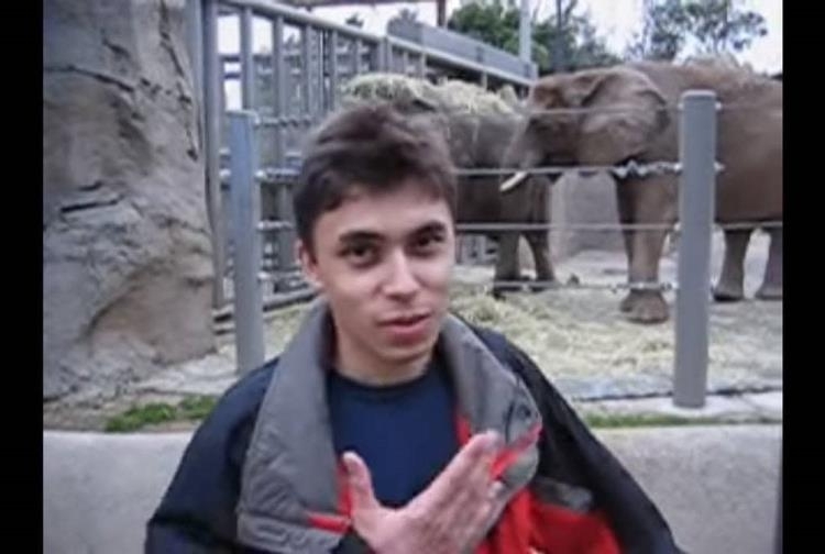 un elefante en el zoo pimer video de youtube con millones de vistas focus min0.04 0.16 896 504