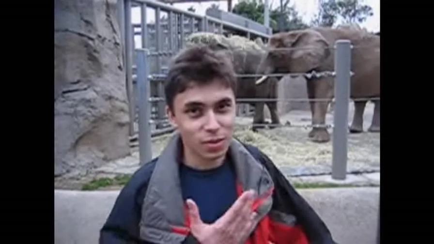 un elefante en el zoo pimer video de youtube con millones de vistas focus min0.04 0.16 896 504