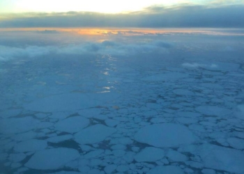 whatsapp image 2025 02 07 at 8.55.22 pm focus 0 0 896 504