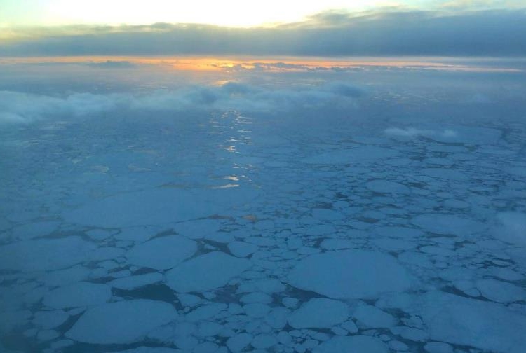 whatsapp image 2025 02 07 at 8.55.22 pm focus 0 0 896 504