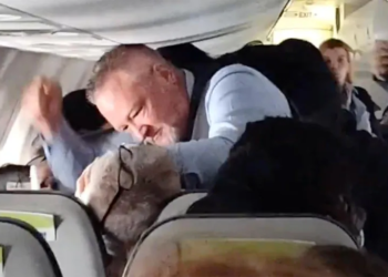 x com walterizzle status 1885838