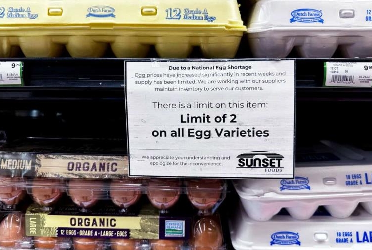 0837670a d6d2 4e48 be8f 0d584ccf346d 1f6a7408 focus 0 0 896 504