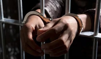 1dcedc3d 1a87 4791 a46e 0566706a7d53