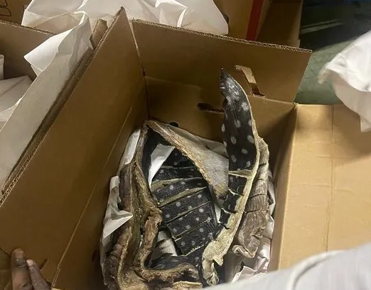 22e8f35b ff1f 4906 8707 5d7518761f07