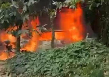 67d1a651dc58e. R d. 380 527 9615