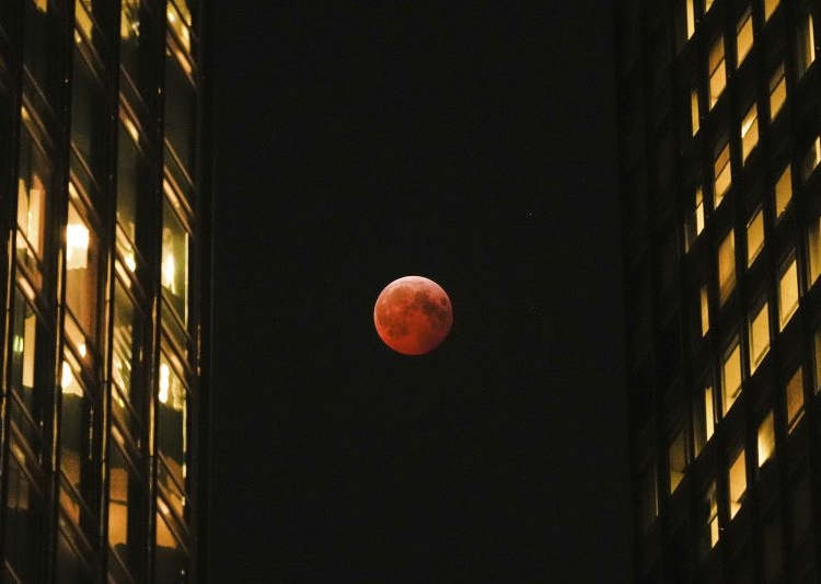 67d41c429abc0 770x533 1