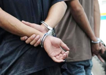 6B9C5503 DC00 49E1 AFEB 199C539C00AA