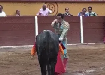 Captura de pantalla 2025 03 03 064051