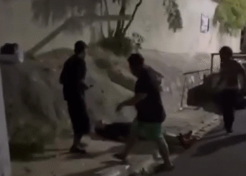 Captura de pantalla 2025 03 20 101351