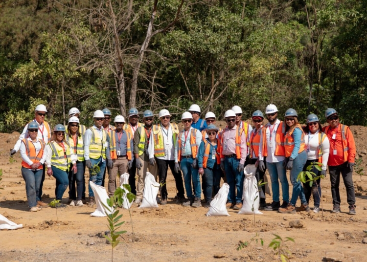 Colaboradores del MEM participaron en la jornada de reforestacion el area de influencia de la presa de colas de Mejita scaled