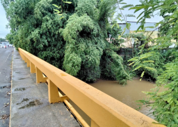 D137d910 1fa4 42b9 bad4 17f67013b8ef