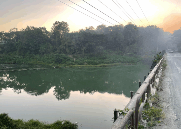 D5c534ed 3d0a 462f bda5 da637c7c4a47