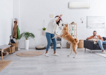 Daikin revoluciona la climatización en el país con el lanzamiento de sus nuevas series nl, jl y kl