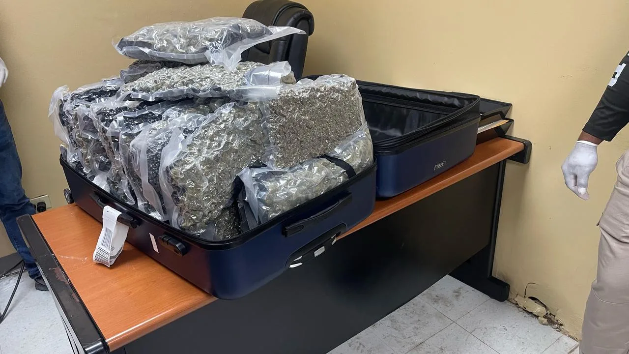 Intervienen 11 maletas con presunta marihuana y arrestan siete extranjeros en La Romana