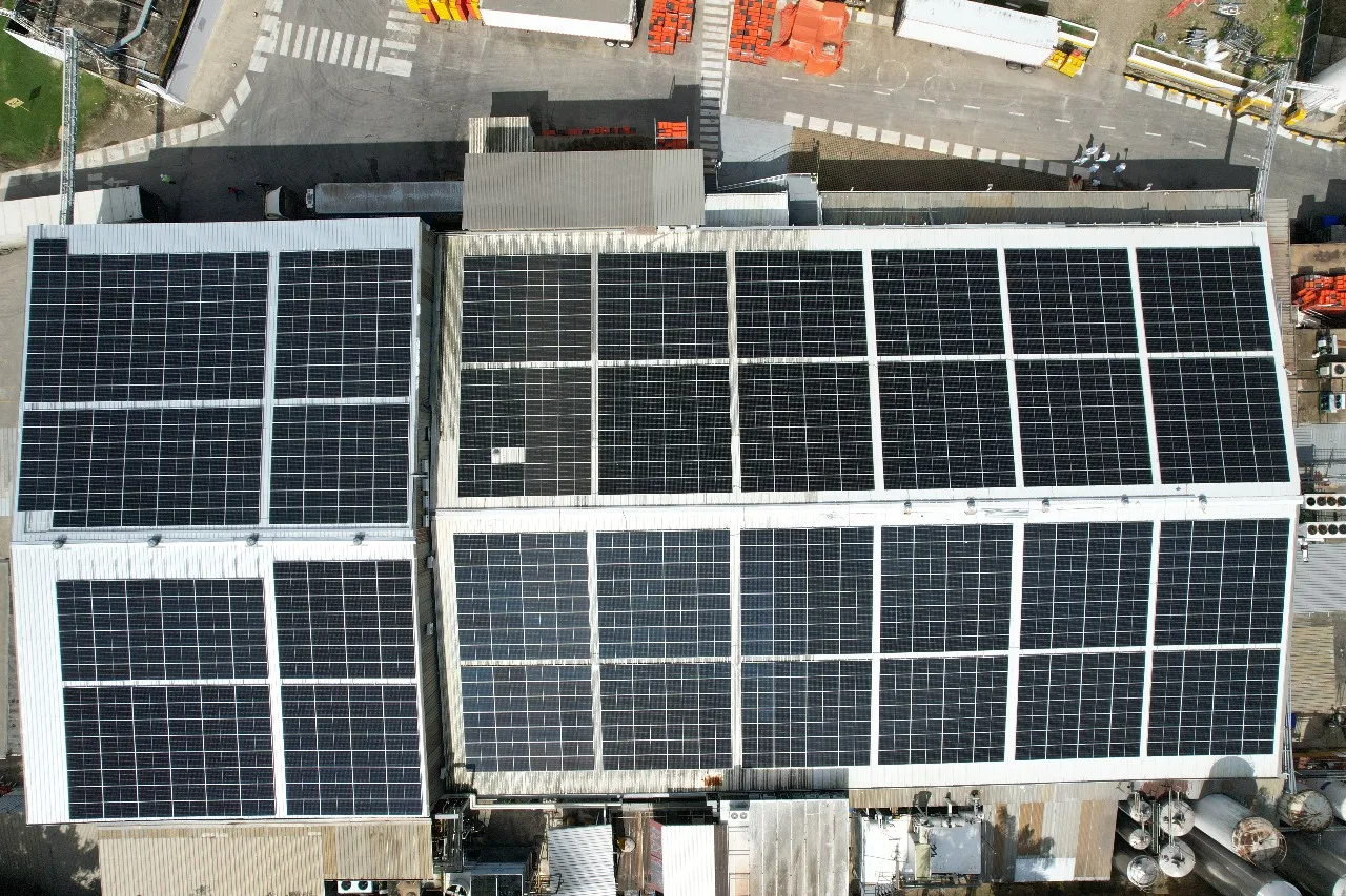 Paneles 2025 01 28 at 11. 28. 17 am