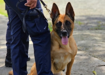 Piden reubicar unidad canina de los prado oriental en sde