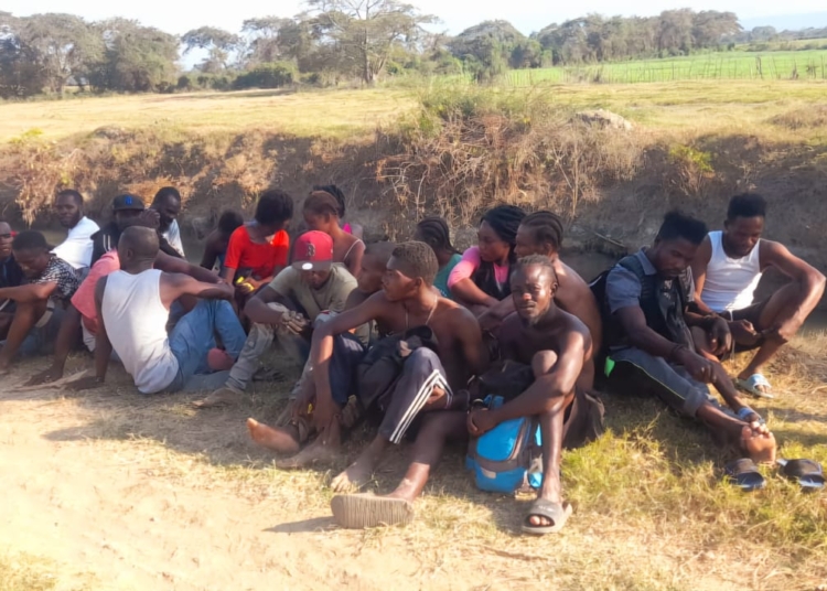 WhatsApp Image 2025 03 10 at 3.17.37 PM