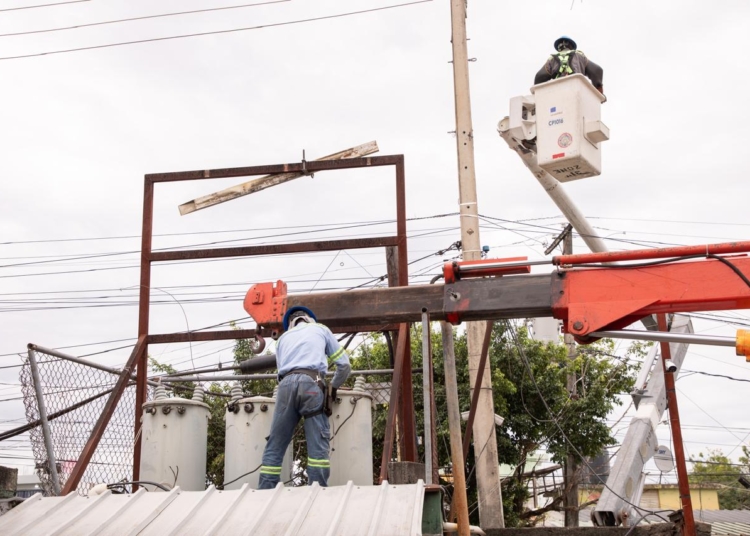 WhatsApp Image 2025 03 11 at 8.48.19 AM 2