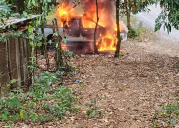 Whatsapp image 2025 03 13 at 8. 43. 32 am 1 scaled