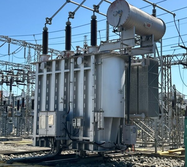 WhatsApp Image 2025 03 20 at 9.14.10 AM scaled