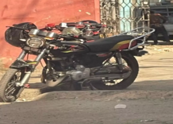 WhatsApp Image 2025 03 23 at 3.27.37 PM