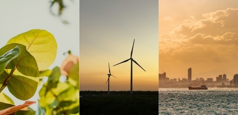 WhatsApp Image 2025 03 25 at 2.41.24 PM