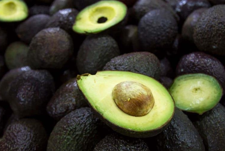 aguacate focus 0 0 896 504