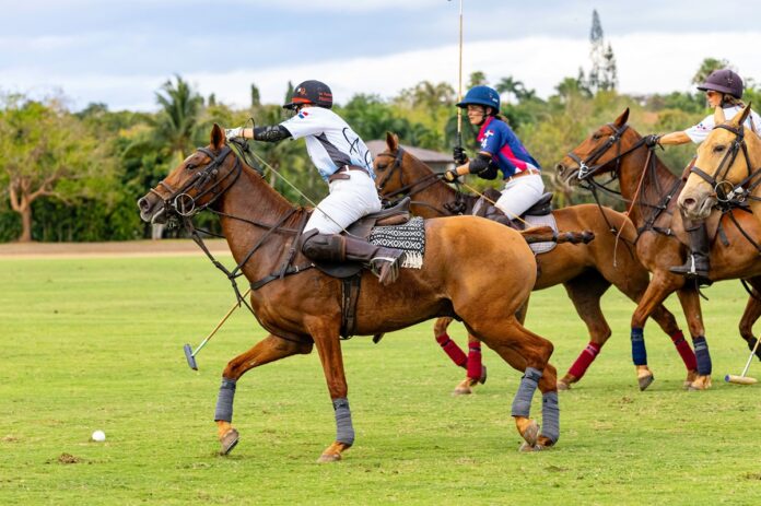 polo
