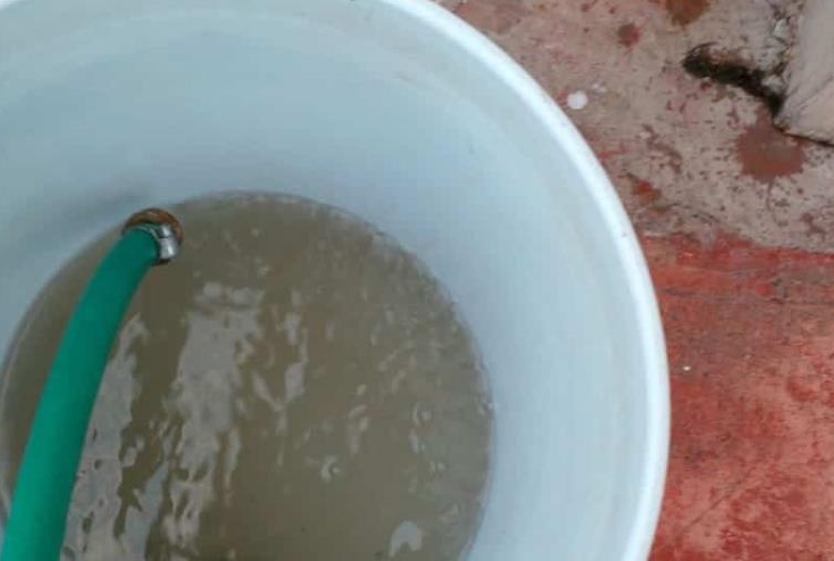 whatsapp image 2025 03 16 at 120335 pm b1bca793 focus min0.36 0.11 896 504