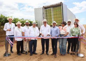 República dominicana inicia exportación de uvas de mesa a estados unidos