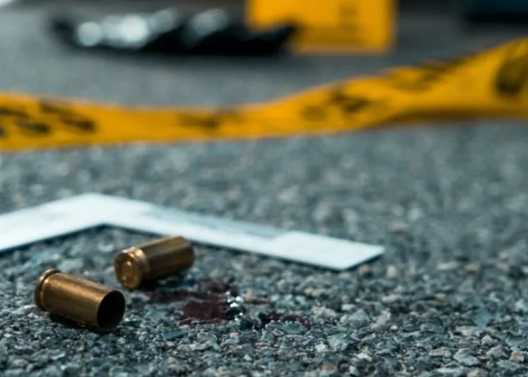 Cae abatido"el gago" al enfrentar patrulla policial en colmado de sabana grande de boya