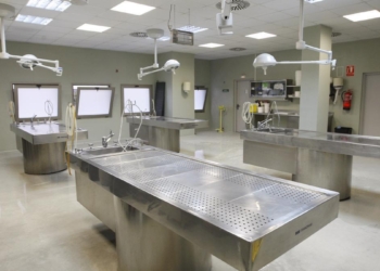 ¿cuánto gana un médico forense en república dominicana?