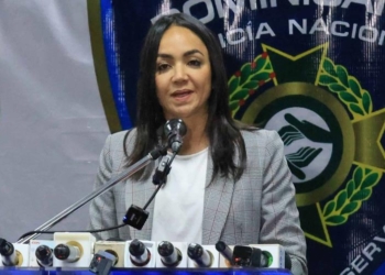 Faride raful“no podemos seguir perdiendo vidas”