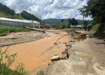 Lluvias dejan comunidades aisladas y pérdidas agrícolas millonarias en tireo