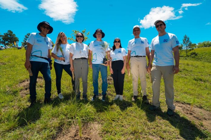 Voluntarios Grupo Popular sembrando árboles en Plan Sierra San José de las Matas