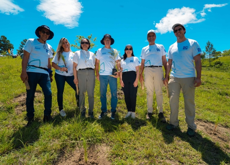 Voluntarios Grupo Popular sembrando árboles en Plan Sierra San José de las Matas