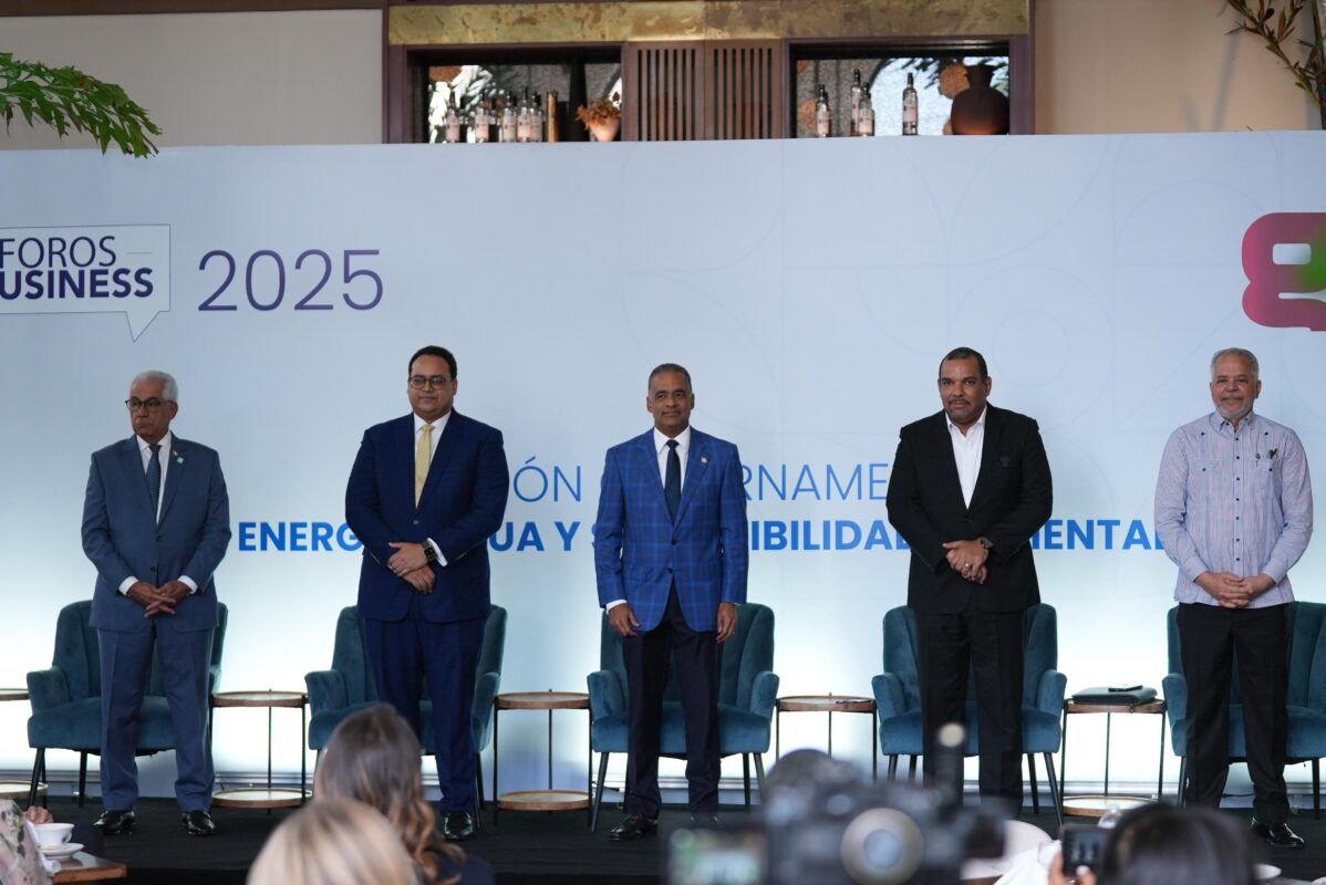 Ministro Santos: seguridad energética clave para el plan Meta 2036 y PIB dominicano 1 Joel Santos, durante su participación en panel sobre el futuro de la energía en el país.