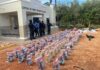 La operación fue ejecutada por la Dirección Nacional de Control de Drogas (DNCD), en coordinación con la Armada de República Dominicana (ARD)