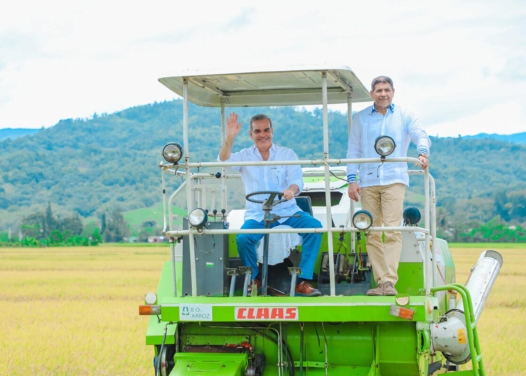 Abinader inaugurará escuela básica y dará inicio a cosecha de arroz en monseñor nouel este sábado
