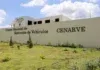 Presidente Luis Abinader en la inauguración del Cenarve en Pedro Brand