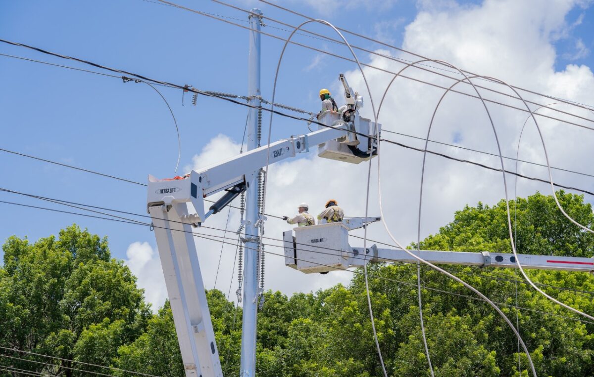 Técnicos de ETED realizando mantenimiento en torres o líneas de transmisión eléctrica al aire libre.
